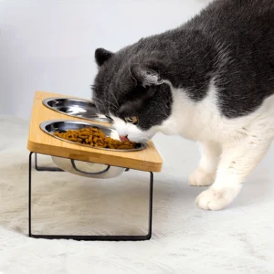 Raised Cat Bowls Pet Feeder 15° Tilted Elevated Cat Food Bowls with Wooden Stand 2 Stainless Steel Bowls for Cats and Puppies