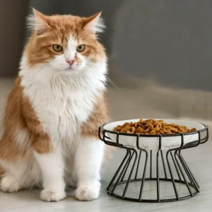 2pcs set (1pc rack + 1pc bowl) ceramic high-rise cat bowl，Easy to Clean 1pc Raised Ceramic Cat Food Bowl - Anti-Spill Pet Bowl