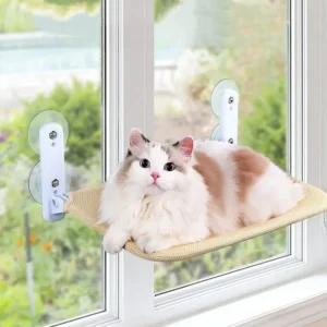 Cat Hammock Super Suction Cup Swing Winter Sun Can Be Removed And Washed Mattress Windowsill Glass Hanging Bed Pet Supplies