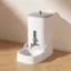 grey feeder
